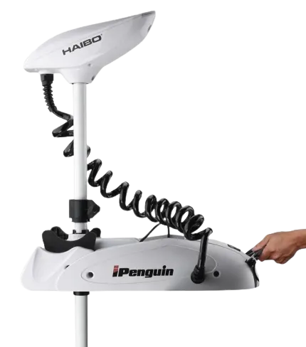 Haibo İpenquin