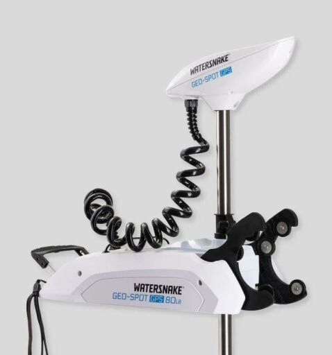 Watersnake